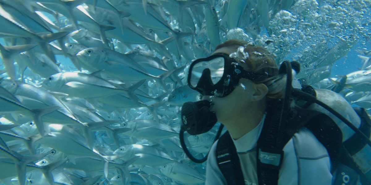 Barbara-Tori-Life-Butler-Travel-Companion-5 Diving in Brazil