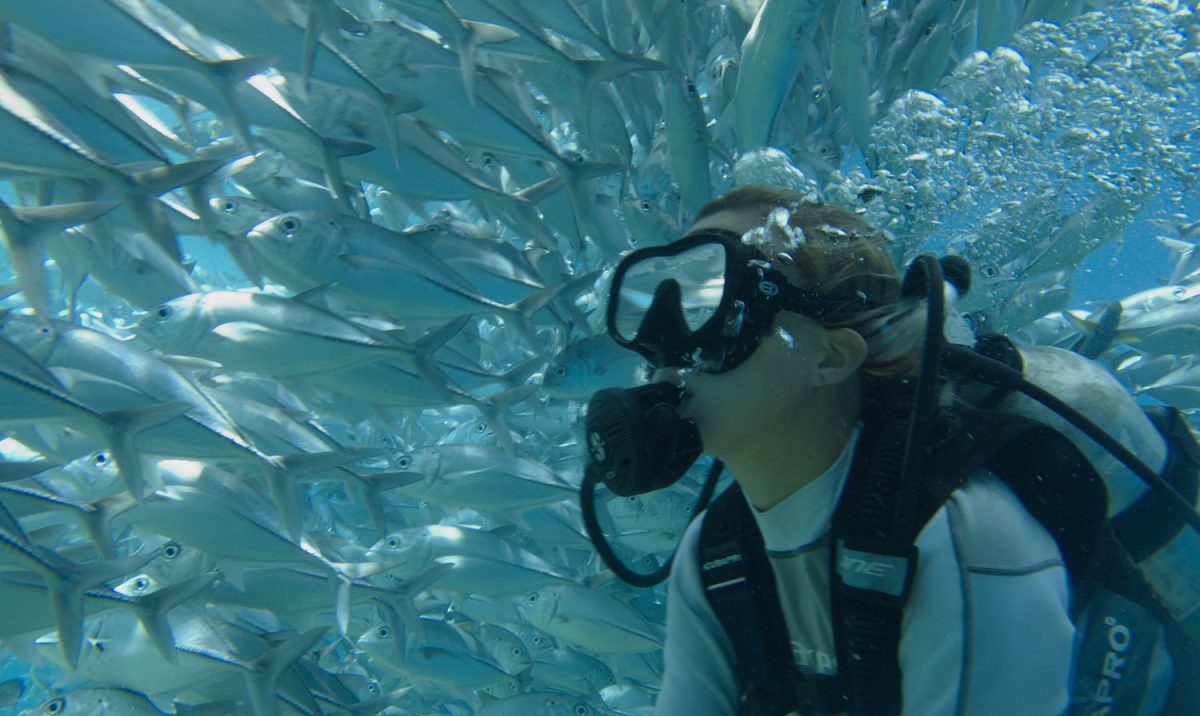 Barbara-Tori-Life-Butler-Travel-Companion-5 Diving in Brazil