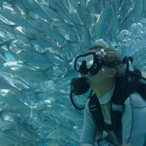 Personal Travel Companion