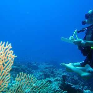 Life Butler Personal Travel Companion