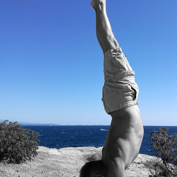 Yoga Therapy and Traditional Oriental Medicines (TOM)