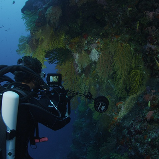 Dive Instructor, Submersible Pilot and Underwater Photographer