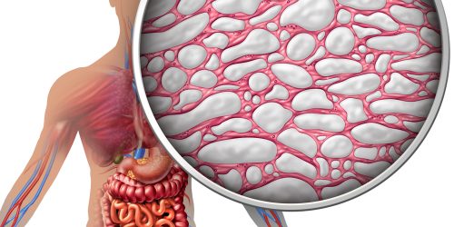 shutterstock_1057523117